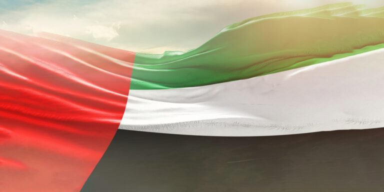 UAE FLAG 5674